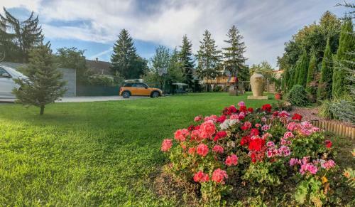 Hotel Satu Mare City