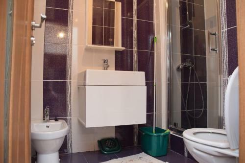 Apartament Selimbar