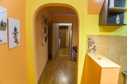 Lovely Bright Apartment
