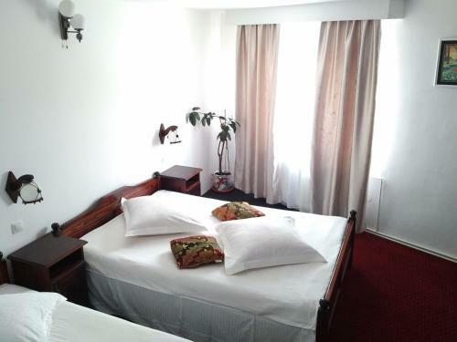 Hostal Pensiunea Millenium