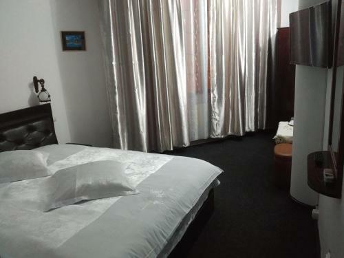 Hostal Pensiunea Millenium