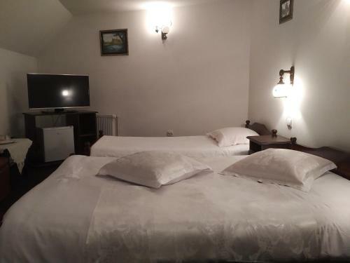 Hostal Pensiunea Millenium
