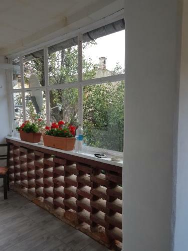 Apartamento Alfa Studio