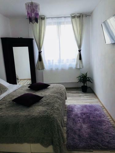 Queen's Apartment & Studio