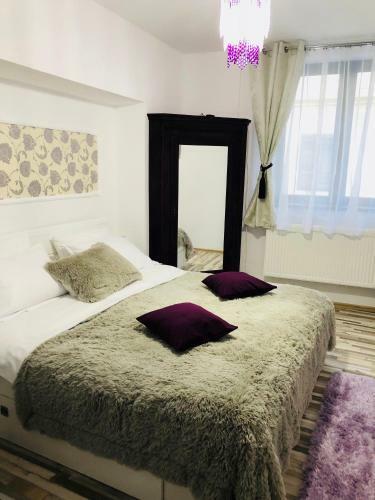 Queen's Apartment & Studio