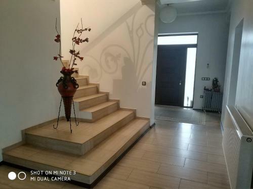 Villa Vila Eden