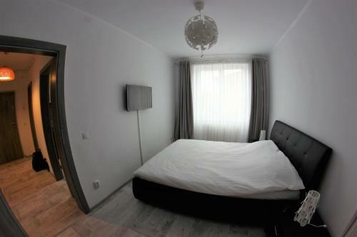 Apartament Centru Istoric Radu