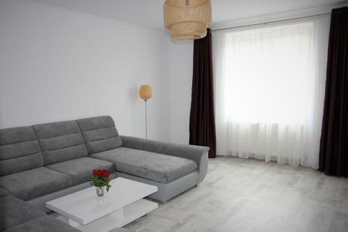 Apartament Centru Istoric Radu