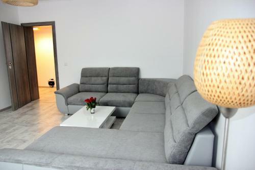 Apartament Centru Istoric Radu