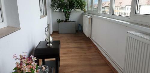 The View Apartment