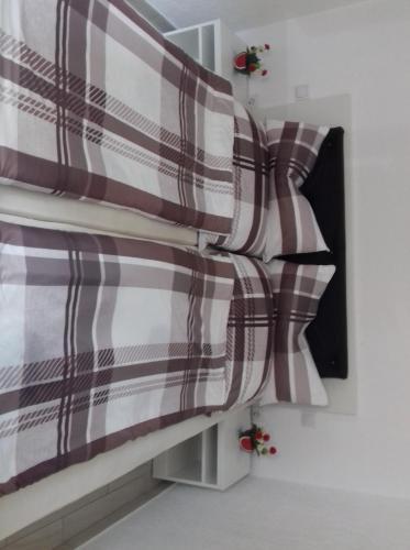 Apartament Central V&p