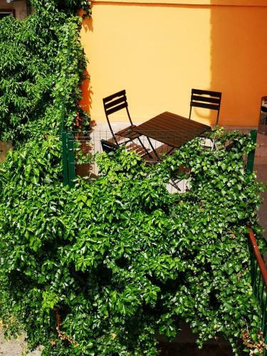 Apartamento Ivy Residence