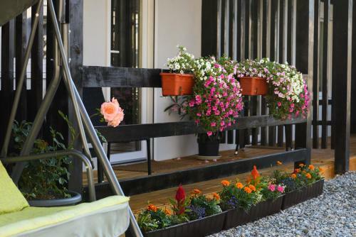 Hostal Pensiunea Alina