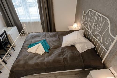 Hostal Pensiunea Alina