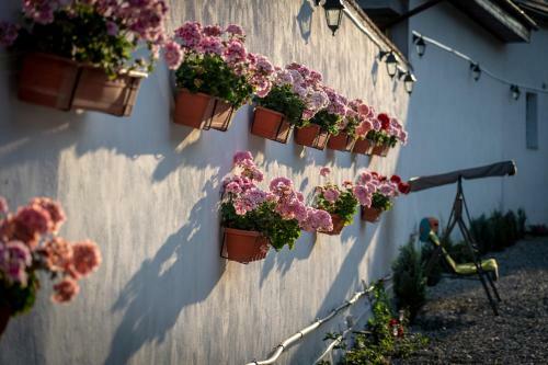 Hostal Pensiunea Alina