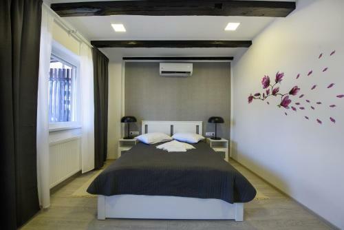 Hostal Pensiunea Alina