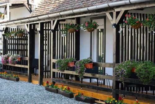 Hostal Pensiunea Alina