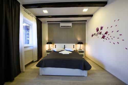 Hostal Pensiunea Alina