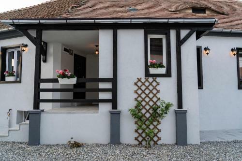 Hostal Pensiunea Alina