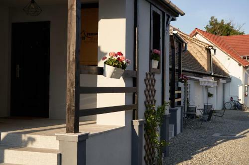 Hostal Pensiunea Alina