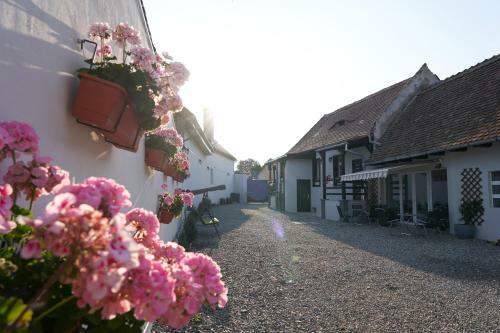 Hostal Pensiunea Alina