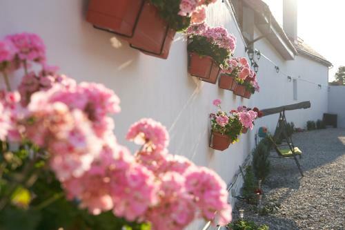 Hostal Pensiunea Alina