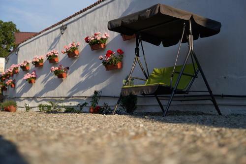 Hostal Pensiunea Alina