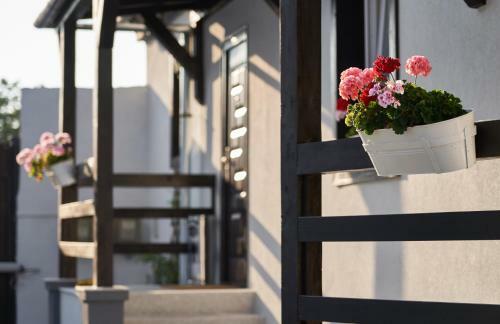 Hostal Pensiunea Alina