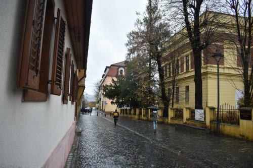 History Apartment Str Cetatii
