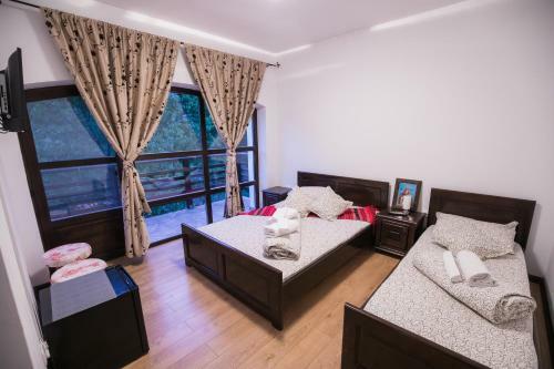 Hostal Casa Dacilor Transalpina