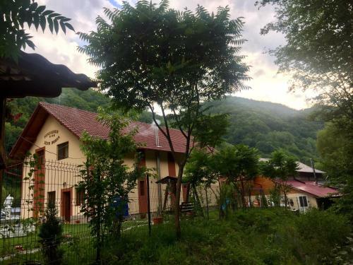 Hostal Pensiunea Silva Dobra