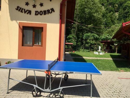 Hostal Pensiunea Silva Dobra