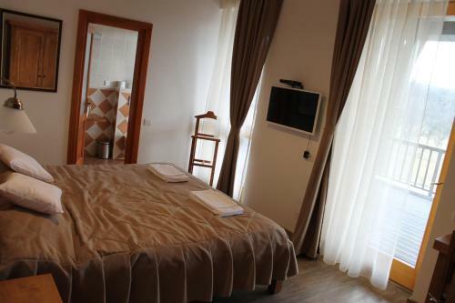 Hostal Pensiunea Orgona