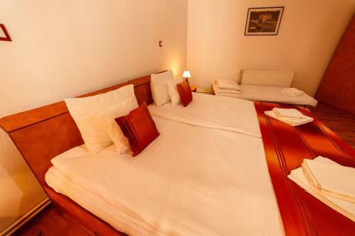 Bed & Breakfast Pensiunea Eva