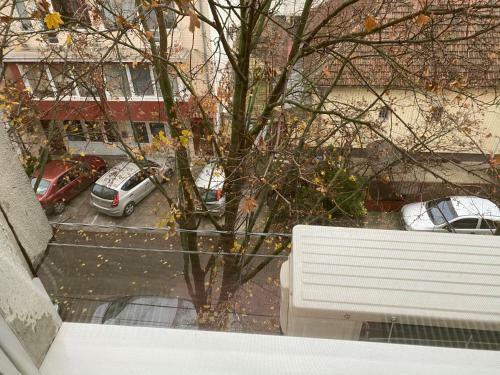 Venue Apartment - Iulius Mall