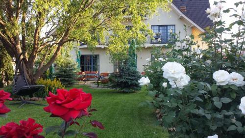 Hostal Villa Westfalia Guest House