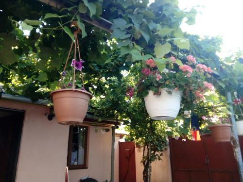 Apartamento Casa Magda