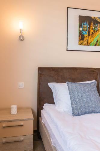 Hotel Pensiunea Select Central