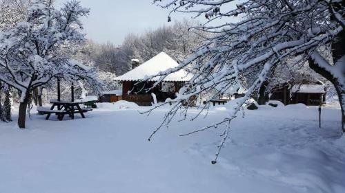 Agroturismo Casa Bunicului
