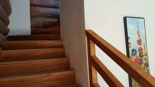 Agroturismo Valea Vistisoarei