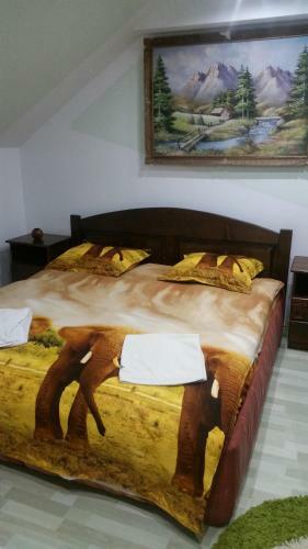 Lodge Cabana Steaua Nordului 2