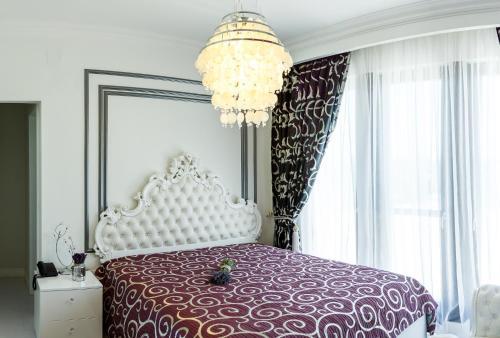 Hostal Pensiunea Primaverii