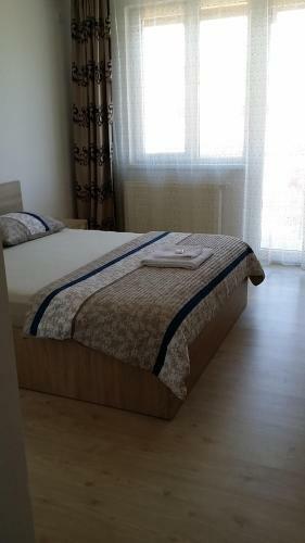 Hostal Pensiunea Alas