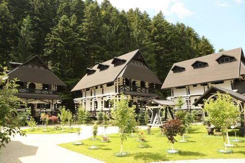 Hotel Complex Lions Bucovina