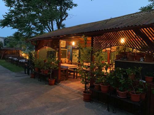 Hostal Casa Ghemus Costinesti