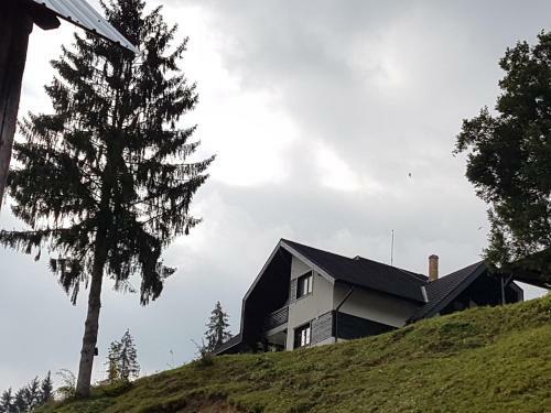 Agroturismo Pensiunea Maria-bucovina