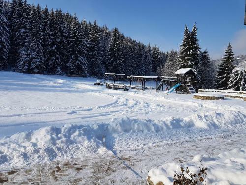 Agroturismo Pensiunea Maria-bucovina