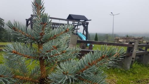 Agroturismo Pensiunea Maria-bucovina