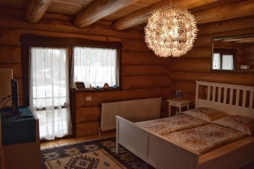 Cabana Alvi