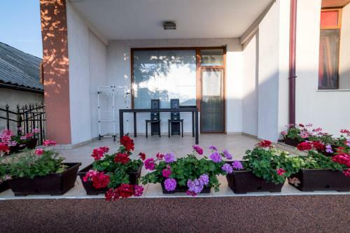 Apartamento Suite Red